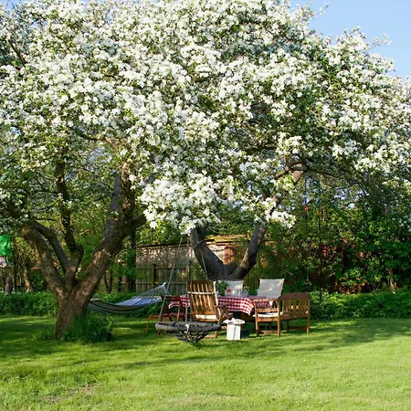 Former Railway Worker's House By Kragenaes Harbour בית נופש